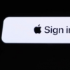 如何使用通过Apple登录和管理您的登录信息