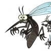蚂蚁庄园4月21日小鸡宝宝今日答题 下列选项中蚊子更喜欢叮咬哪类人及蚊子成长过程