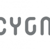 Cygnett是我们希望引起关注的此类公司之一