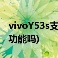 vivoY53s支持多少w快充(Vivoy 53S有OTG功能吗)